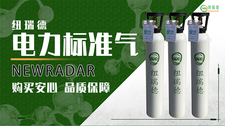 pc端详情-电力标准气_01