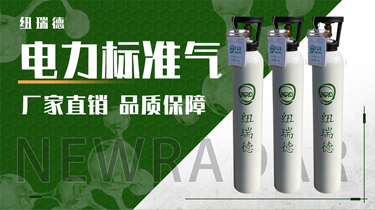 详情-电力标准气_01